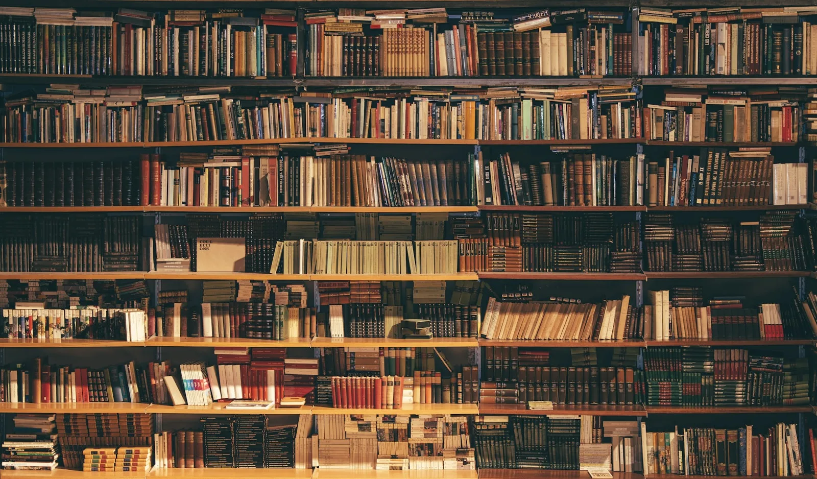 مكتبتك ليست ديكوراً: كيف تبني مكتبة منزلية تُقرأ فعلاً؟
